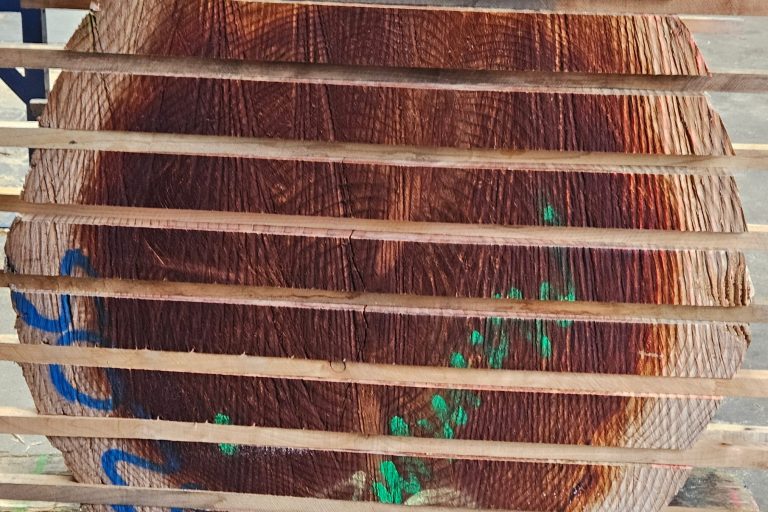 Sägefurnier astrein